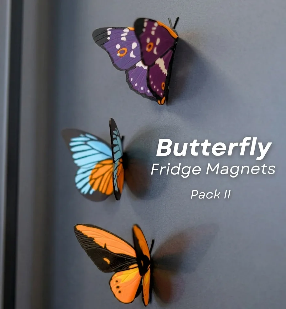 Butterfly Fridge Magnets (Set Of 3)