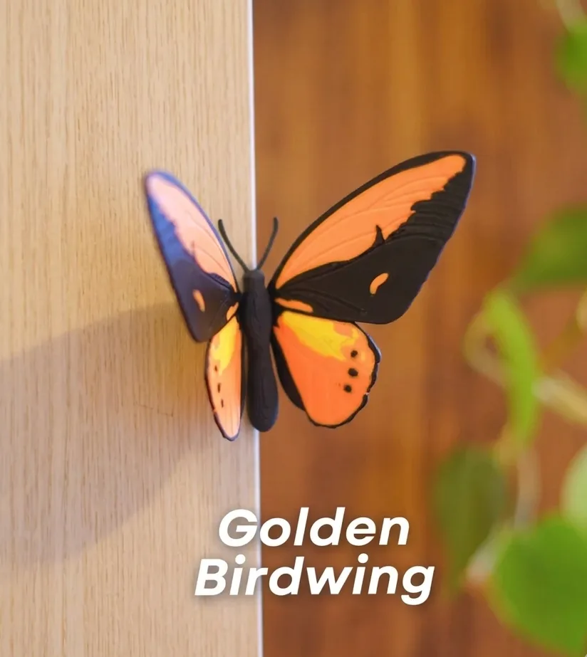 Butterfly Fridge Magnets (Set Of 3)