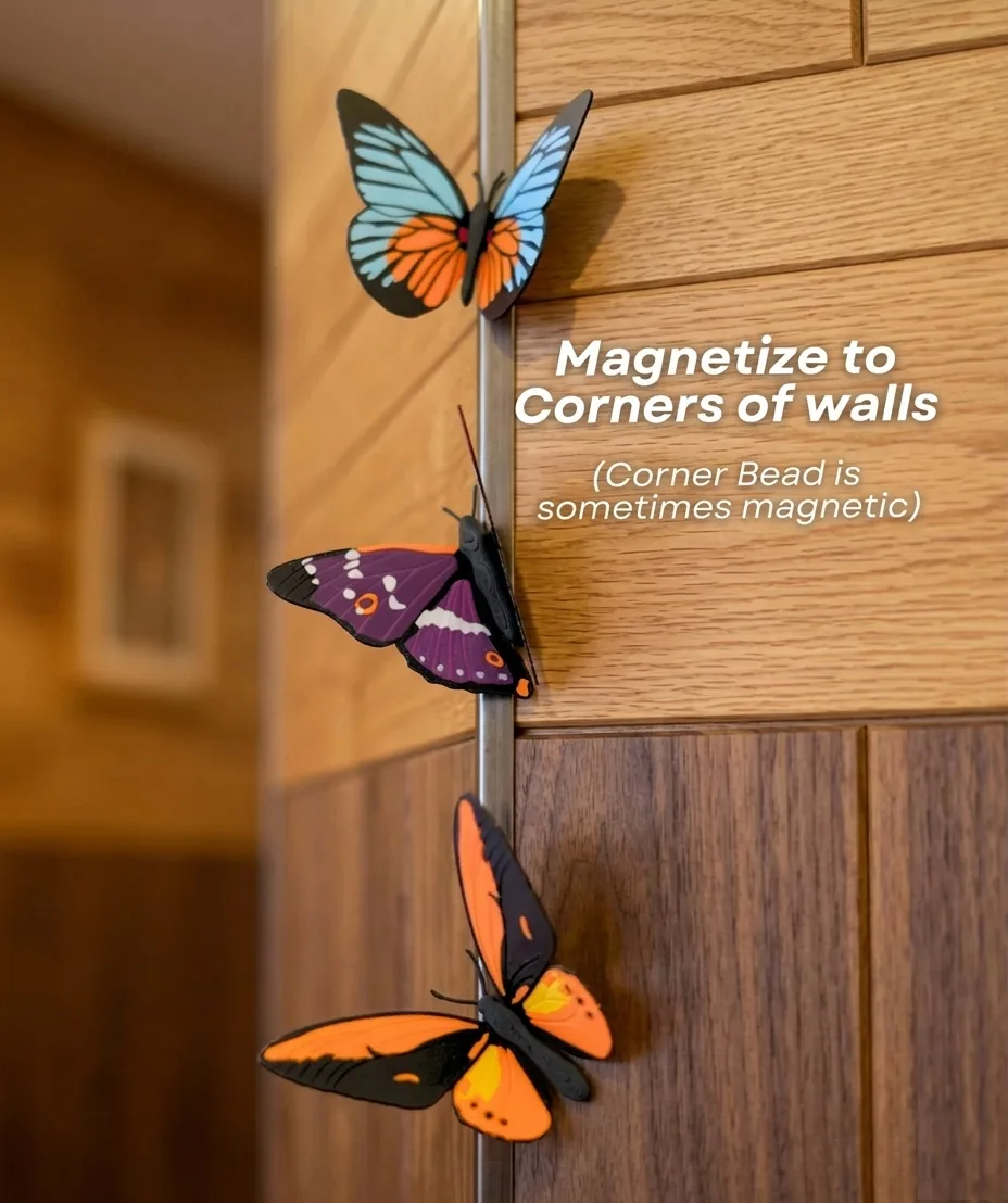 Butterfly Fridge Magnets (Set Of 3)