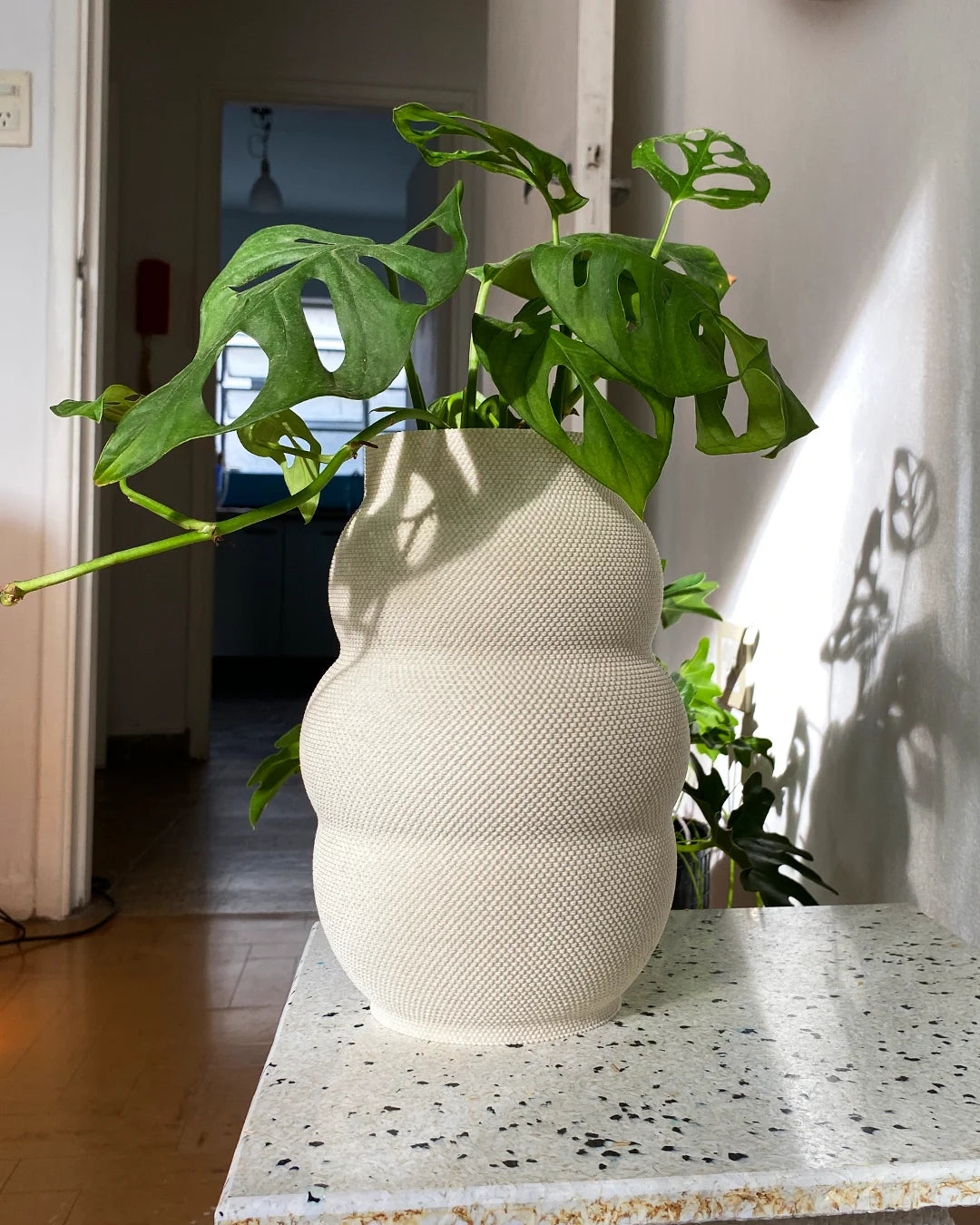 Flower Vases & Planters (Vero, Hollo, Kova, Silva)