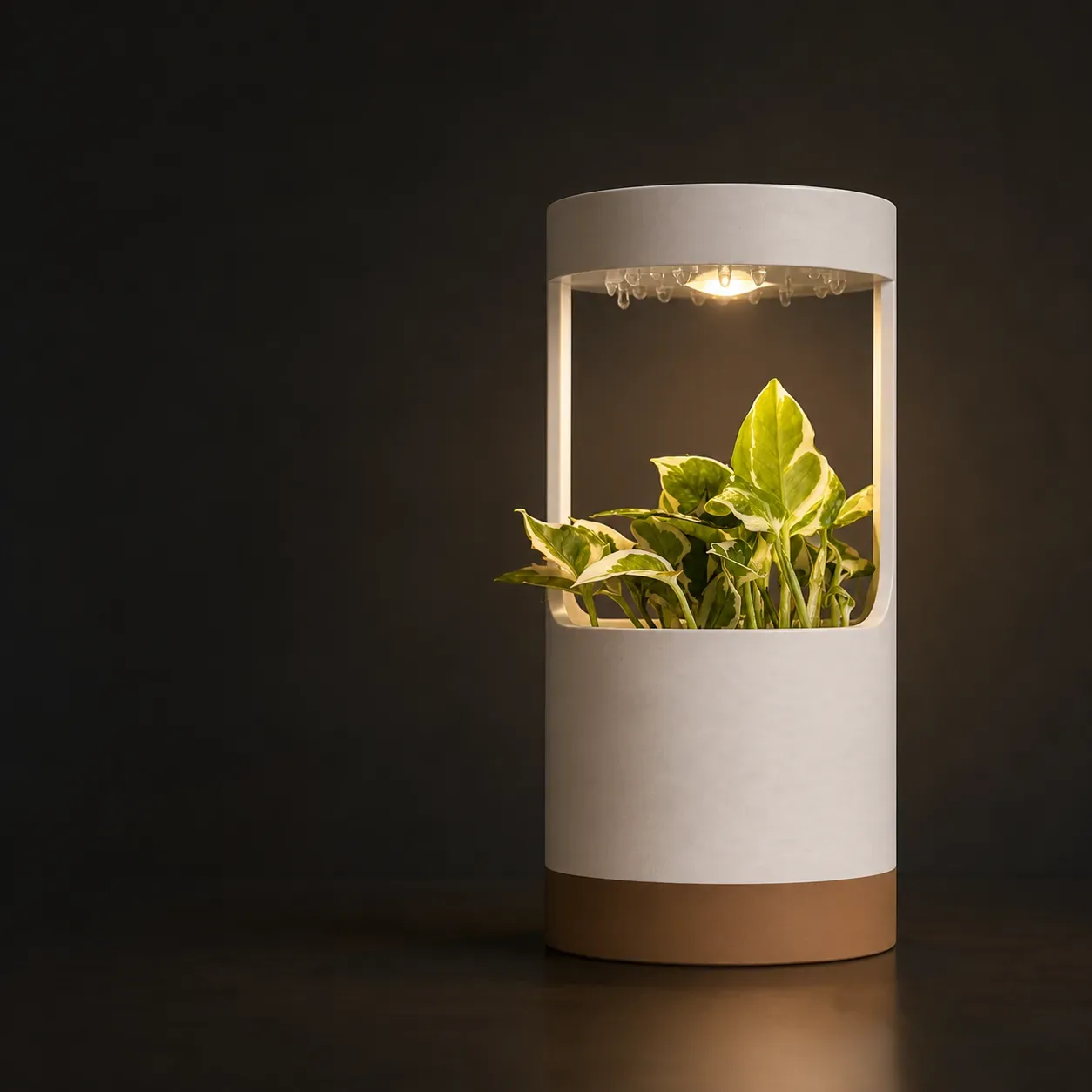 lantern-desk-vase-with-grow-light-and-drip-tray