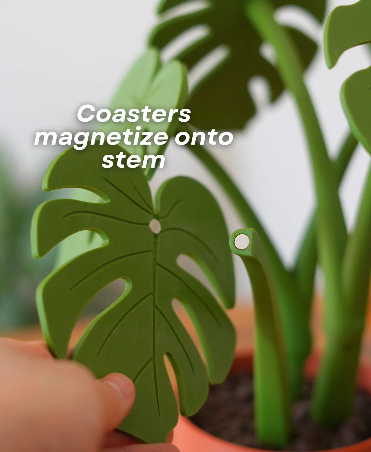 Leafix Monstera Coaster Set With Magnetic Leaves & Pot