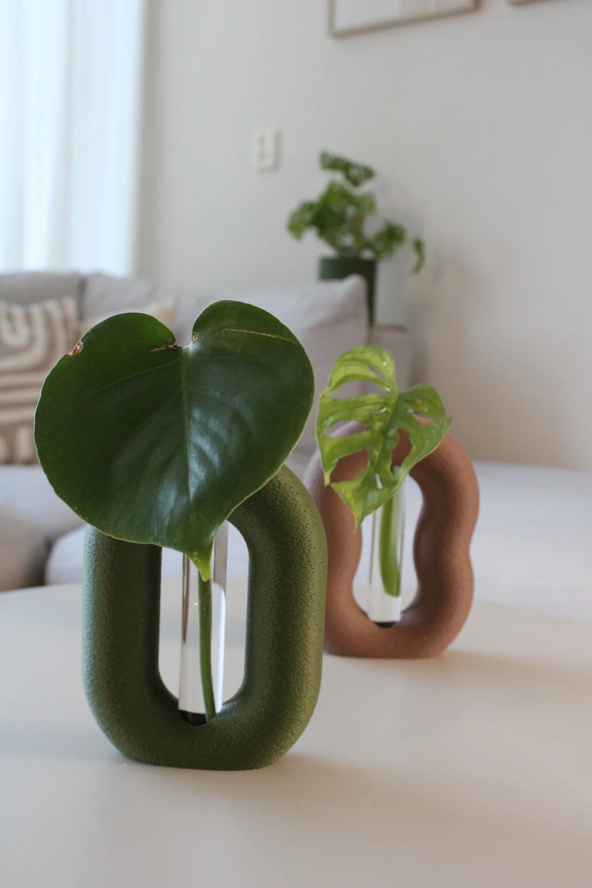 LoopRoot Plant Propagation Vases, Test Tube Holder, Planter (Set Of 2)