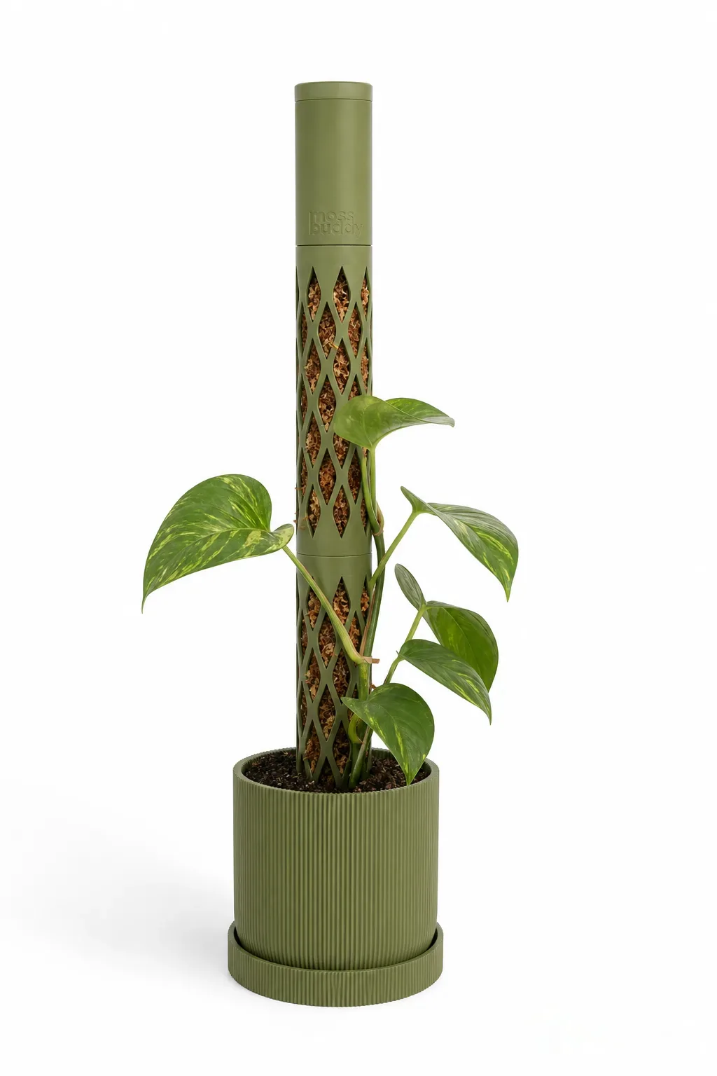 Modular Self-Watering Moss Pole for Climbers