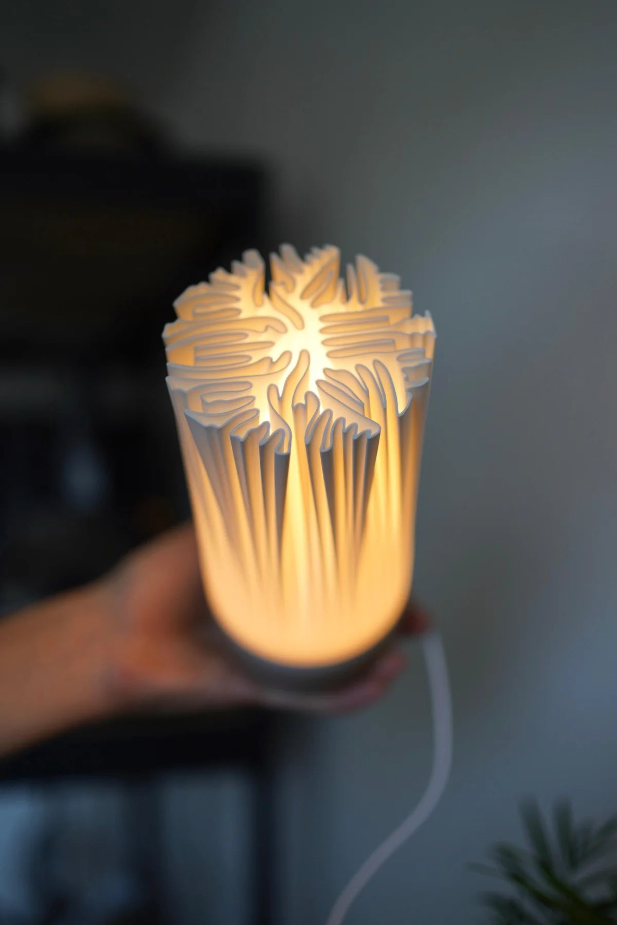 ORGANIS Minimalist Organic Table Lamp, Sculptural Shade