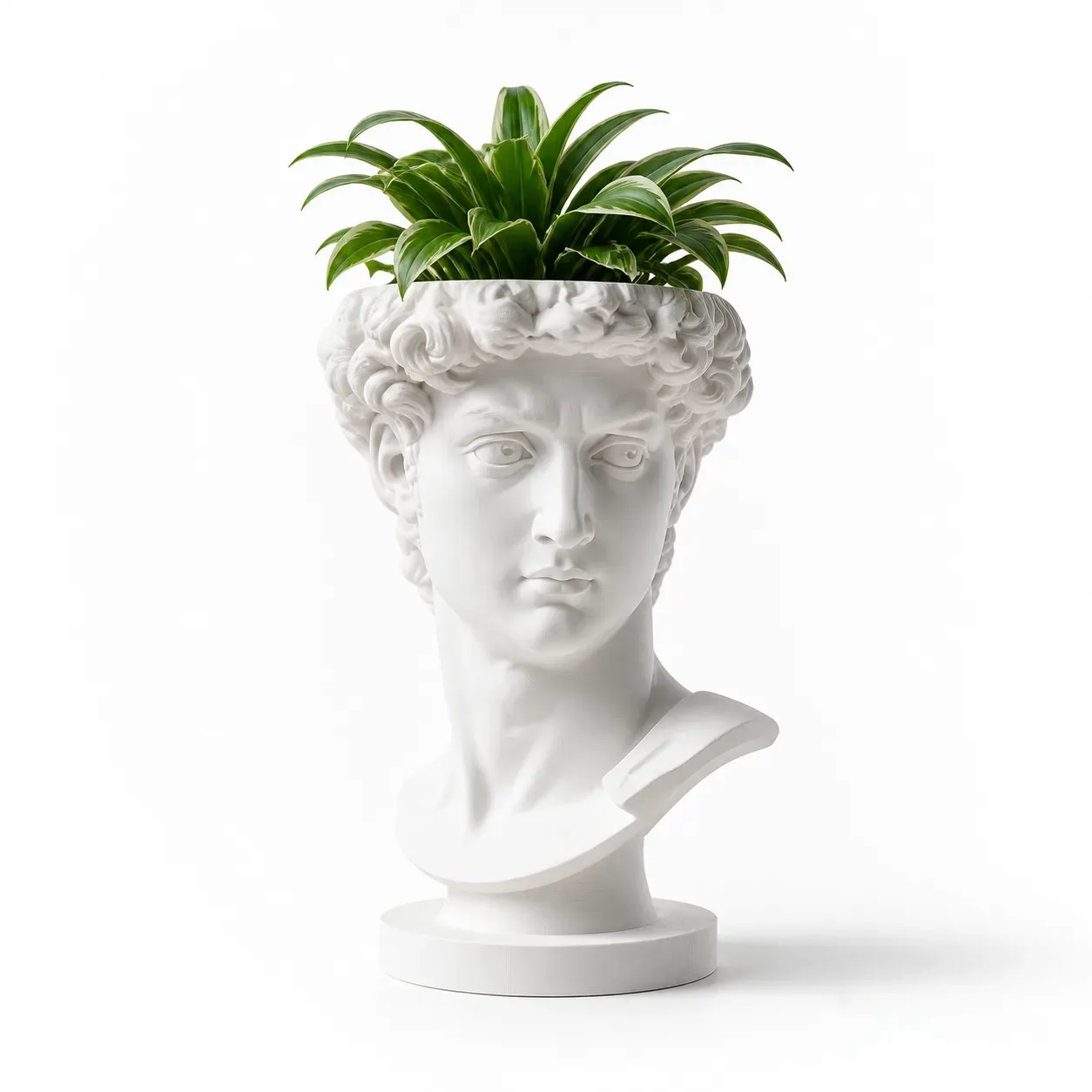 David Bust Planter with Drainage Base
