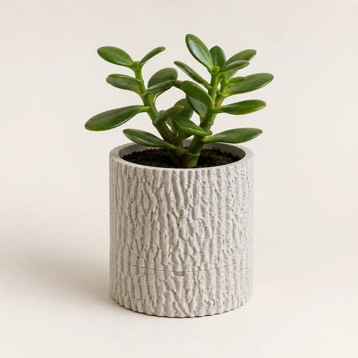 Tree Bark Planter with Hidden Drip Tray